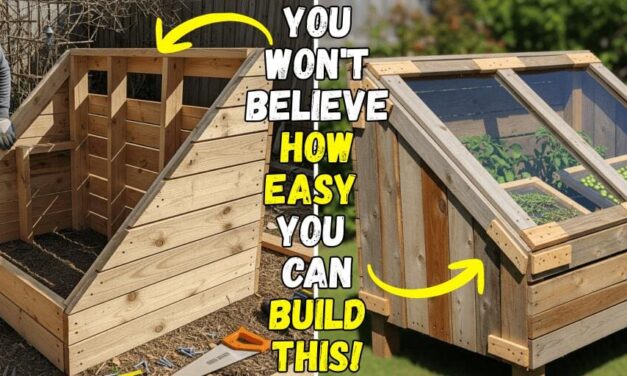 How I Made a Solar Herb Dryer with Scrap Materials