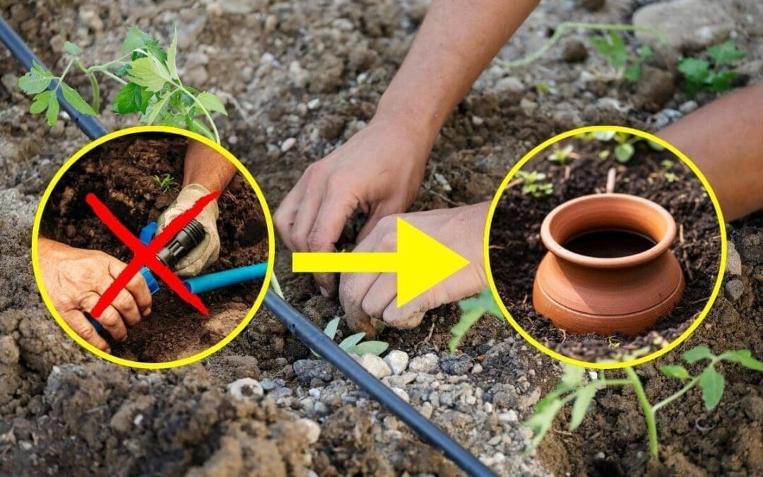 The Native American Way To Self-Water Your Backyard