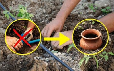 The Native American Way To Self-Water Your Backyard