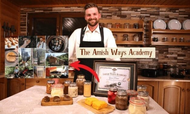 I Just Completed The Amish Ways Academy… And You Won’t Believe What I Found