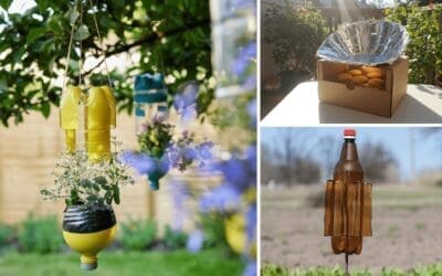 Smart Ways To Reuse Things That You Usually Throw Away