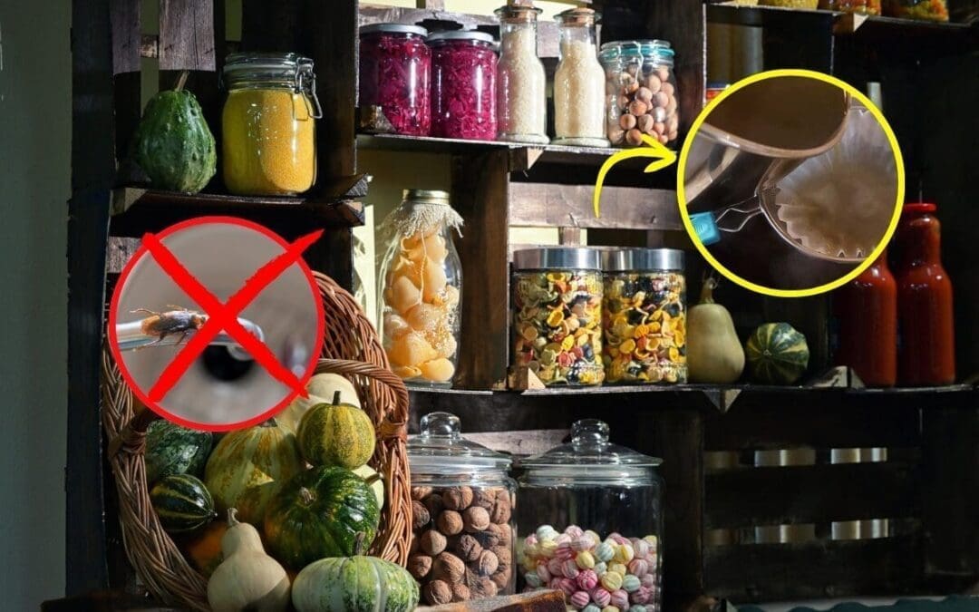 Add This to Your Pantry to Keep Pests Away This Winter