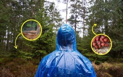 I Lived in The Woods for 15 Days and This is What Almost Killed Me