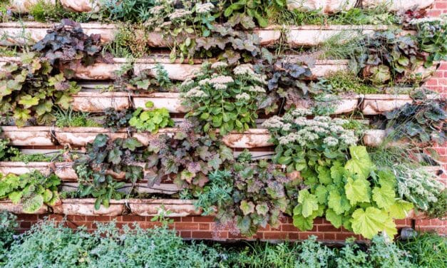 Vertical Gardening for Self-Sufficient Living