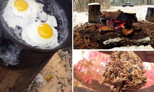 7 Low-Budget Projects You Should Make This Winter