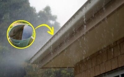 How to Harvest 1000+ Gallons of Water from Your Roof
