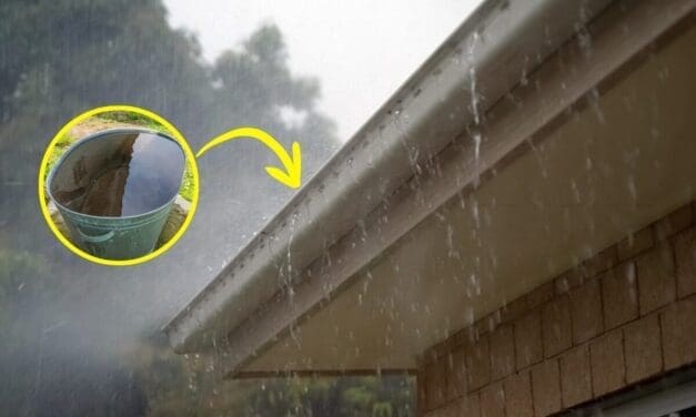 How to Harvest 1000+ Gallons of Water from Your Roof