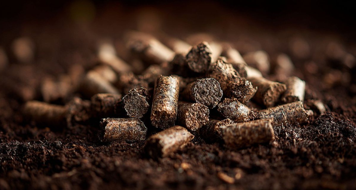 Is Rabbit Manure a Good Fertilizer?