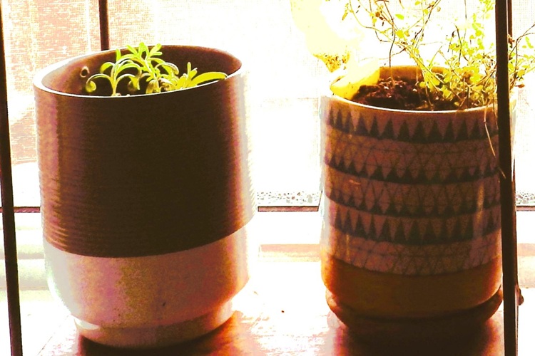 decorative containers