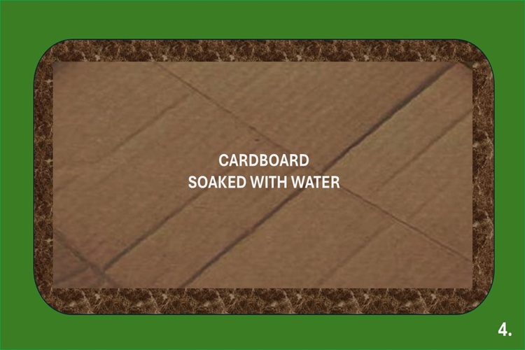 cardboard soaked with water