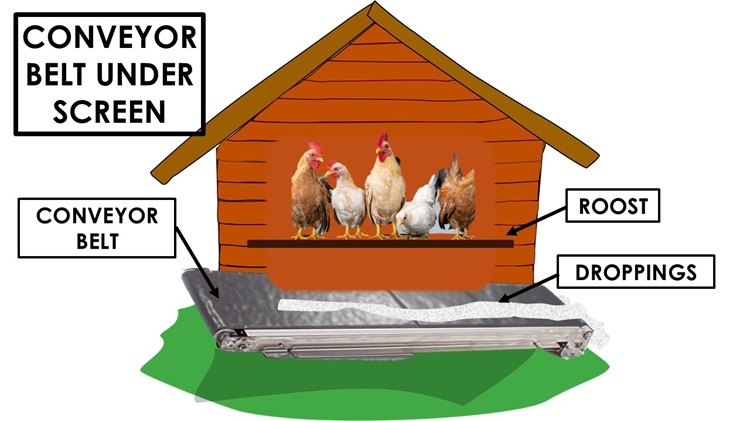 conveyor belt under screen