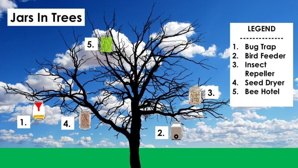 6 jars in trees