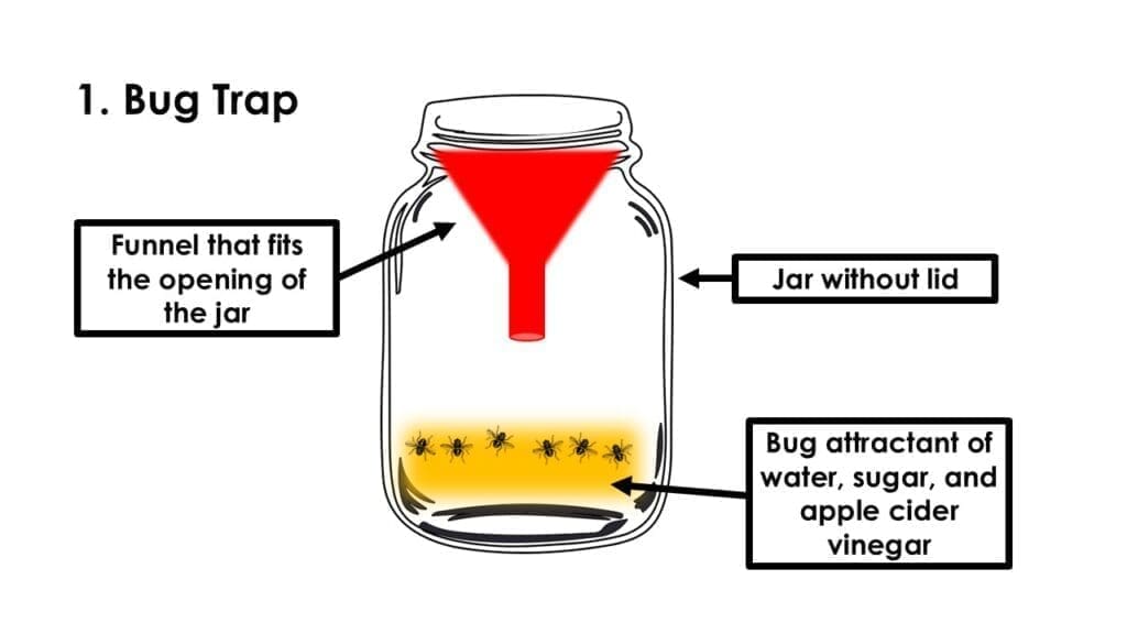 BUG TRAP