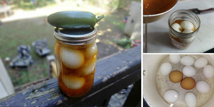 Cowboy Candy Pickled Eggs