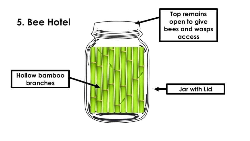 JAR BUG HOTEL