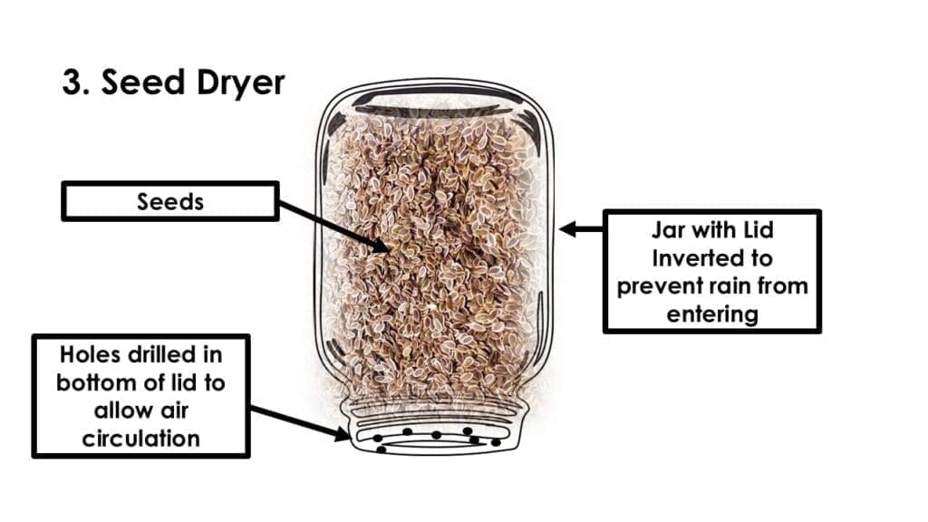 JAR SEED DRYER