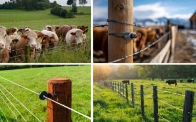 This DIY ‘Ghost Fence’ Works Better Than Electric Fencing – With No Power Needed