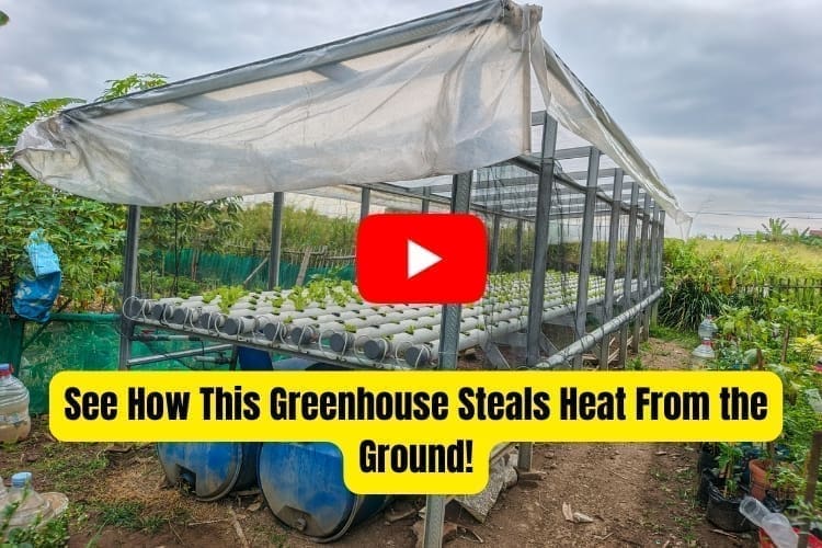 greenhouse steals heat from the ground