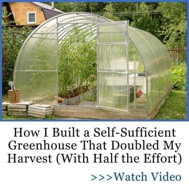 how i built a self-sufficient green house that doubled my harvest
