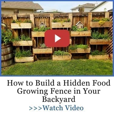 how to build a hidden food growing fence in your backyard