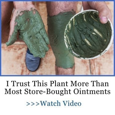 i trust this plant more than most store bought ointments