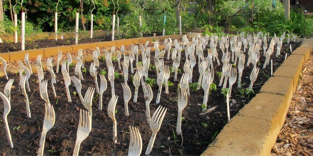 Why You Should Put Plastic Forks In Your Vegetable Garden