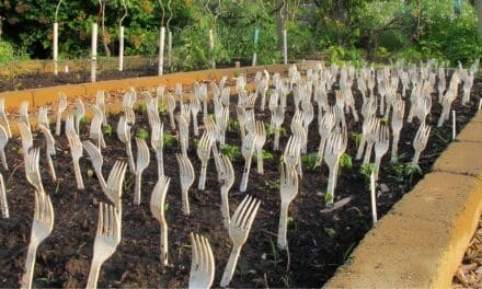 Why You Should Put Plastic Forks In Your Vegetable Garden