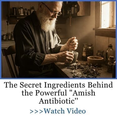 secret ingredient amish antibiotic