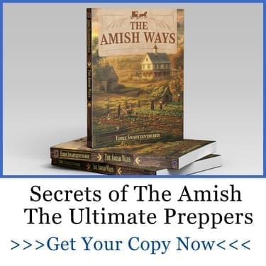 secrets of the amish the ultimate preppers awb