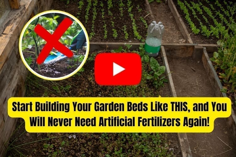 start building your garden beds like this