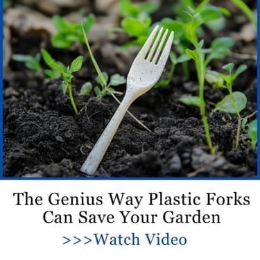 the genius way plastic forks can save your garden