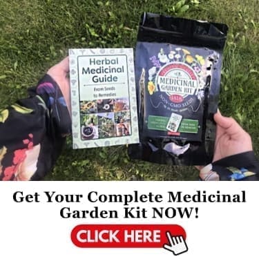 your medicinal garden kit