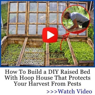 DIY Raised Bed With Hoop House AWB