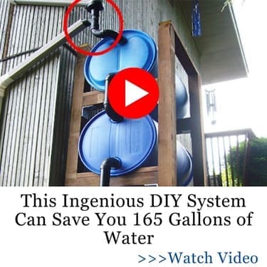DIY System Can Save You 165 Gallons of Water NGP