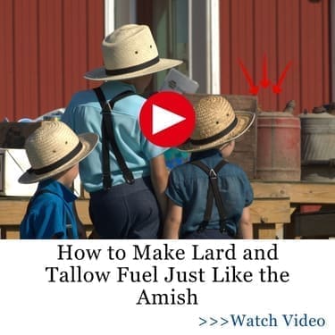Tallow Fuel Amish AWB