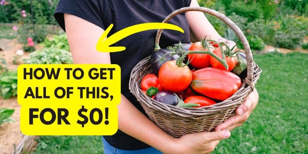The $0 Garden to Build in 2026
