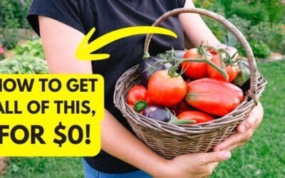 The $0 Garden to Build in 2026