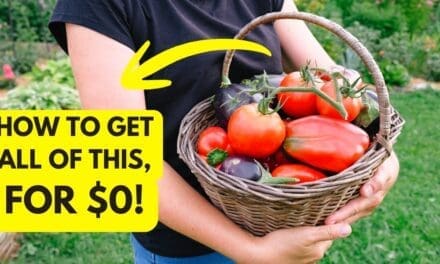 The $0 Garden to Build in 2026