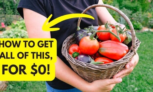 The $0 Garden to Build in 2026