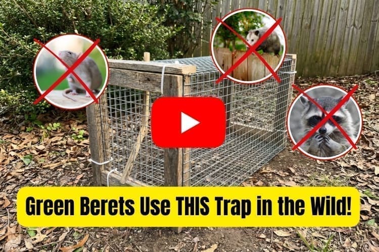 green berets trap NGP vid