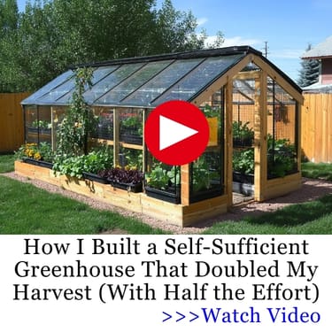 green house doubled harvest NGP