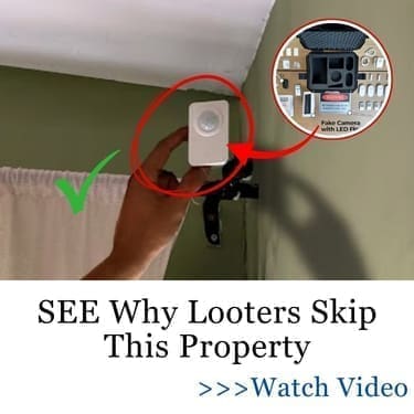 looters skip property ALK ban
