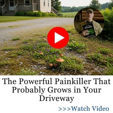 powerful pain killer BIG