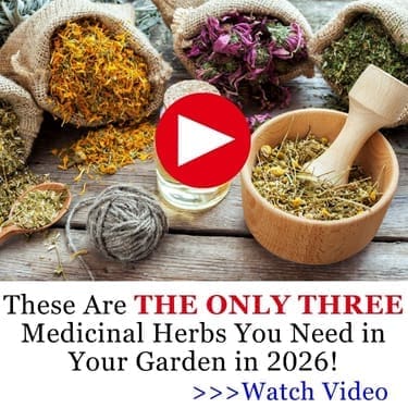 they only three herbs 2026 MK