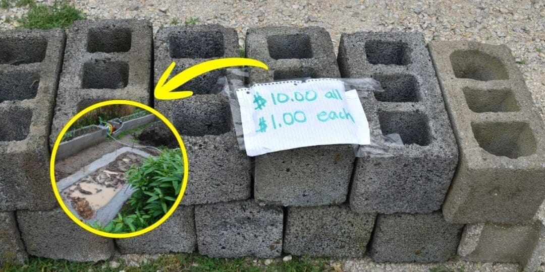 7 DIY Projects Using Cinder Blocks
