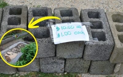 7 DIY Projects Using Cinder Blocks