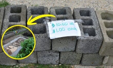 7 DIY Projects Using Cinder Blocks