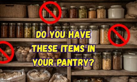 7 Things You Never (Ever!) Need in Your Pantry