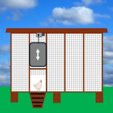 Automatic Chicken Coop Door 1