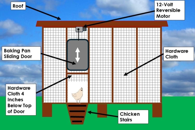 Automatic Chicken Coop Door 3